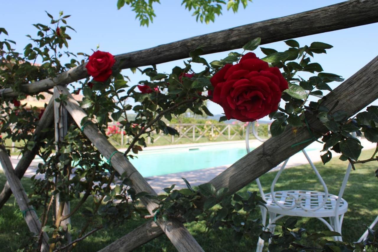Agriturismo La Paciarella Villa Campiglia dʼOrcia Dış mekan fotoğraf