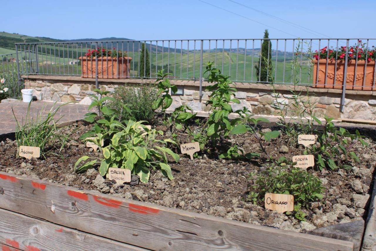 Agriturismo La Paciarella Villa Campiglia dʼOrcia Dış mekan fotoğraf