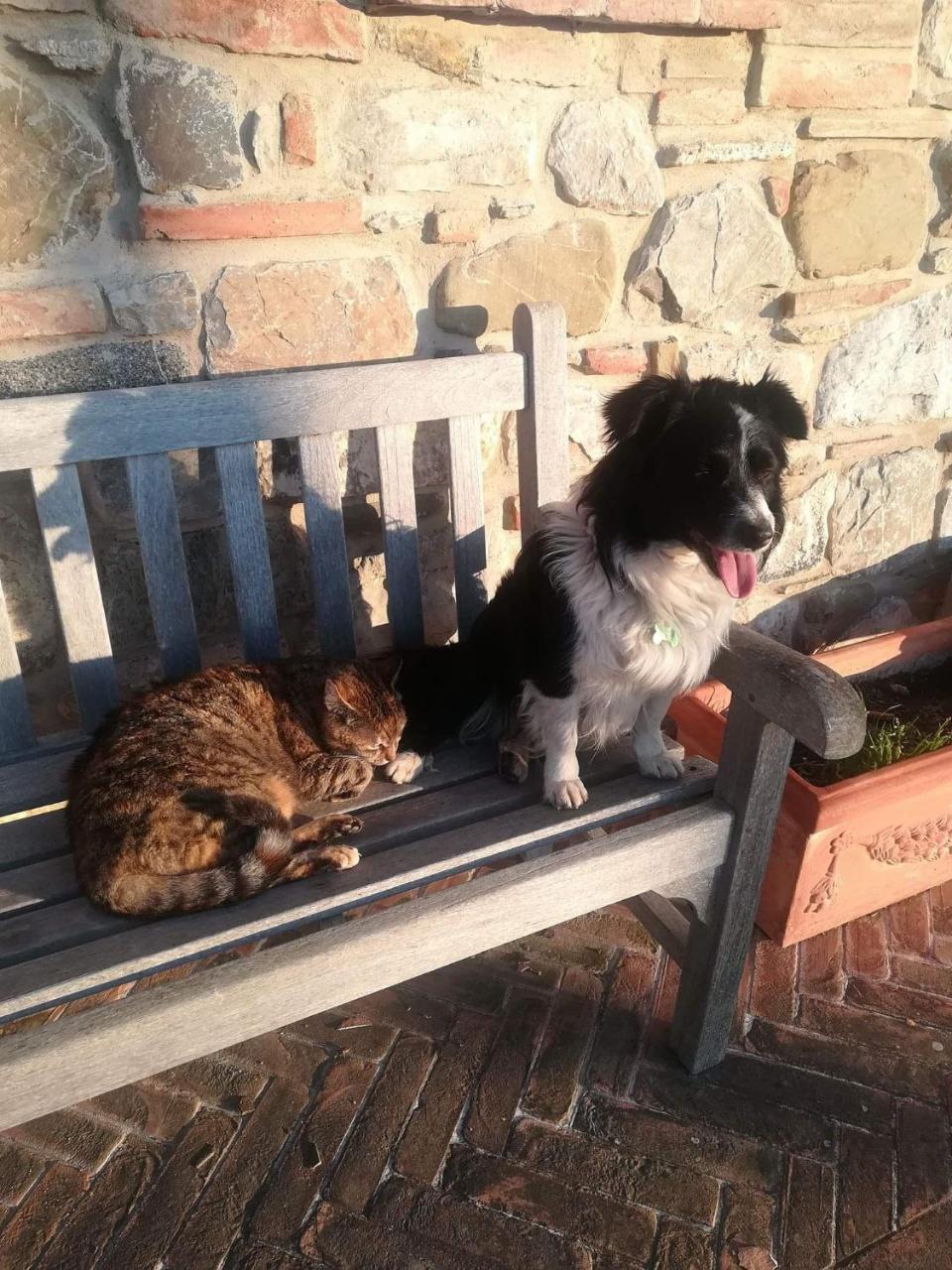 Agriturismo La Paciarella Villa Campiglia dʼOrcia Dış mekan fotoğraf