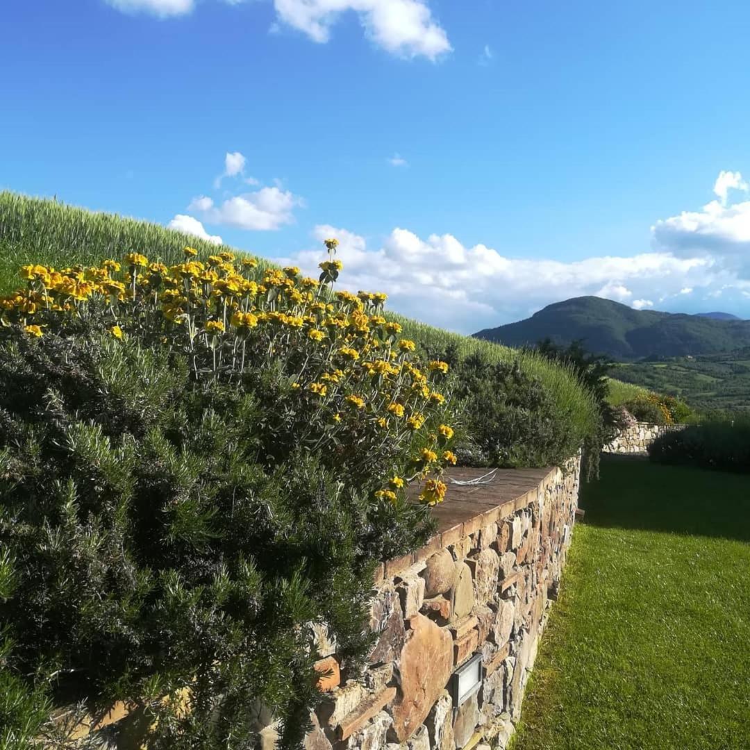 Agriturismo La Paciarella Villa Campiglia dʼOrcia Dış mekan fotoğraf